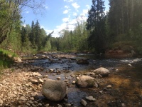 2016-05-13 14h43m15 - Beek - Rob Eveleens
